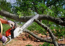 Best Lot and Land Clearing  in Broadlands, VA