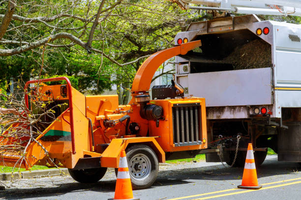 Broadlands, VA Tree Services Company